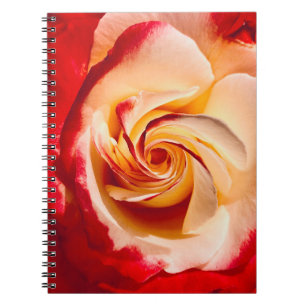 Rose-Notebook Notizblock