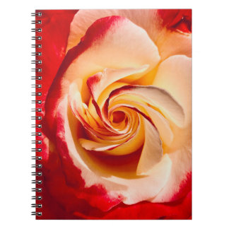 Rose-Notebook Notizblock