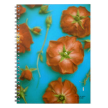 Rose-Notebook