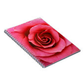 Rose Notizblock (Rechte Seite)