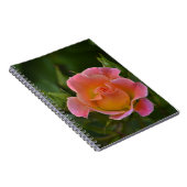 Rose Notizblock (Rechte Seite)