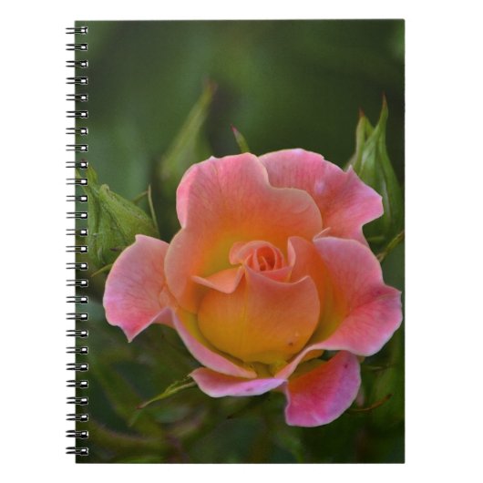 Rose Notizblock (Vorderseite)