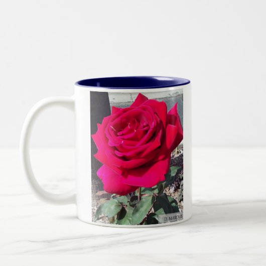 ROSE Nr. 1 TASSE (Links)