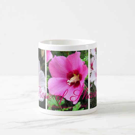 Rose of Sharon [Classic Mug] Kaffeetasse (Mittel)