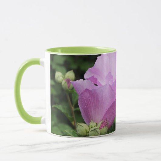 Rose of Sharon Tasse (Links)