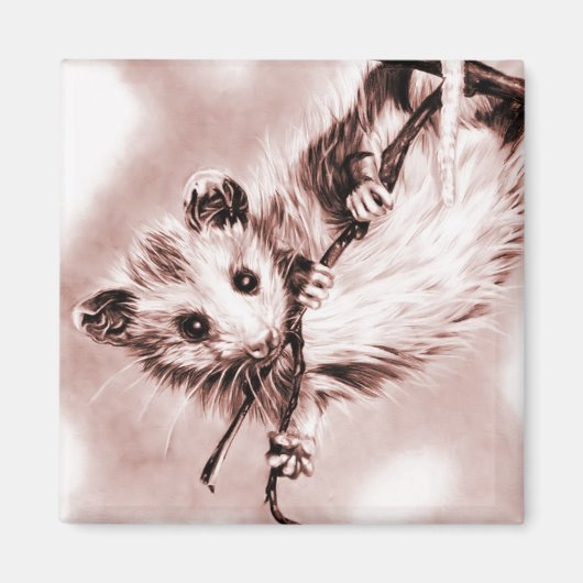Rose Opossum Magnet (Vorne)