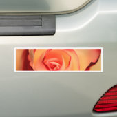 Rose Orange Rose Blüte Blüte Autoaufkleber (Auf Auto)