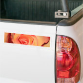 Rose Orange Rose Blüte Blüte Autoaufkleber (Auf Lkw)