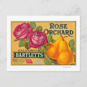Rose-Orchard-Birnenkorb-Etikett Postkarte