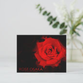 Rose Osaka: Postkarte (Stehend Vorderseite)