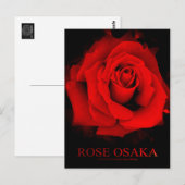 Rose Osaka: Postkarte (Vorne/Hinten)