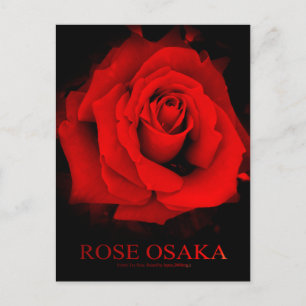 Rose Osaka: Postkarte