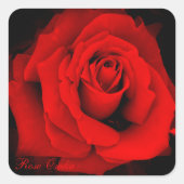 Rose Osaka:Square Seal Quadratischer Aufkleber (Vorderseite)