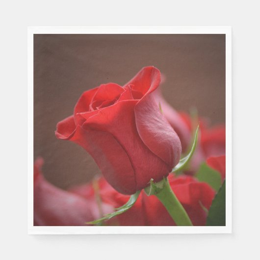 Rose Paper Napkin Serviette (Vorderseite)