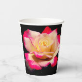 Rose Pappbecher (Rückseite)
