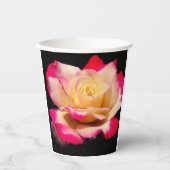 Rose Pappbecher (Vorderseite)