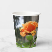 Rose Pappbecher (Rückseite)