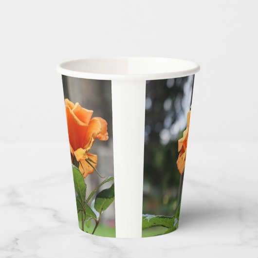 Rose Pappbecher (Links)