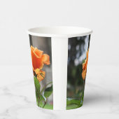 Rose Pappbecher (Rechts)