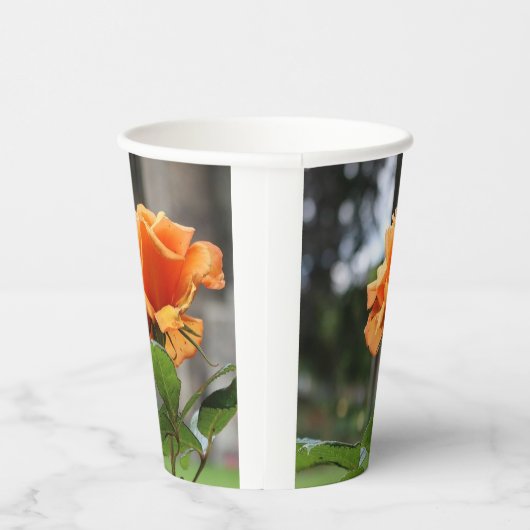 Rose Pappbecher (Rechts)