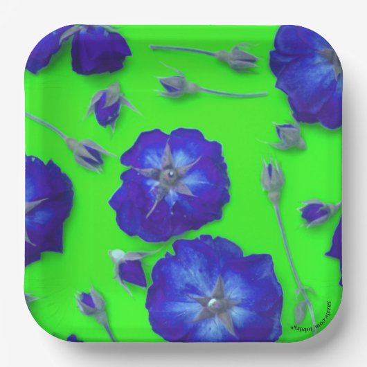 Rose Pappteller (Vorderseite)