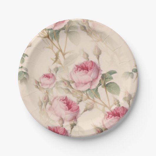 Rose Pappteller (Vorderseite)