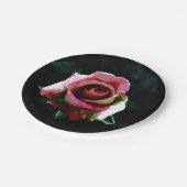 rose  pappteller (Schrägansicht)