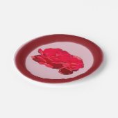 Rose Pappteller (Schrägansicht)