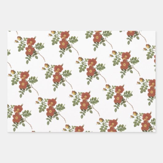 Rose Pattern Geschenkpapier Set (Vorderseite 2)