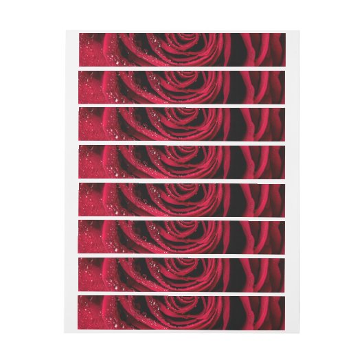 Rose Petals 1 (Bogen)