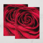 Rose Petals 1 Mitteilungskarte (Vorne/Hinten)