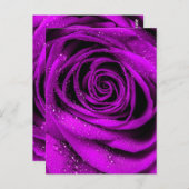 Rose Petals 2 Postkarte (Vorne/Hinten)