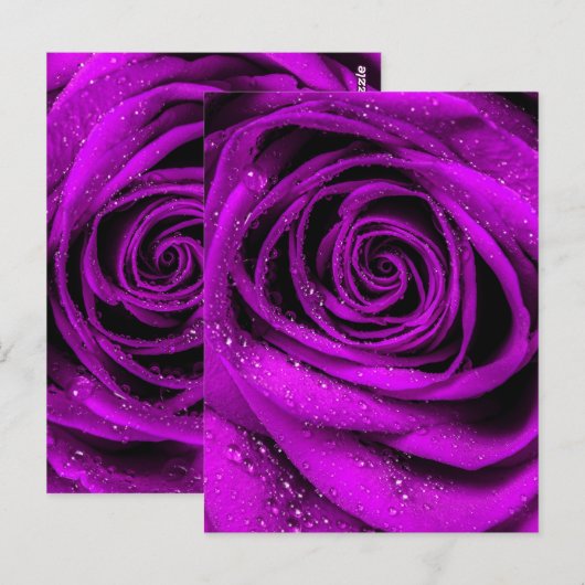 Rose Petals 2 Postkarte (Vorne/Hinten)