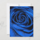 Rose Petals 3 Mitteilungskarte (Rückseite)