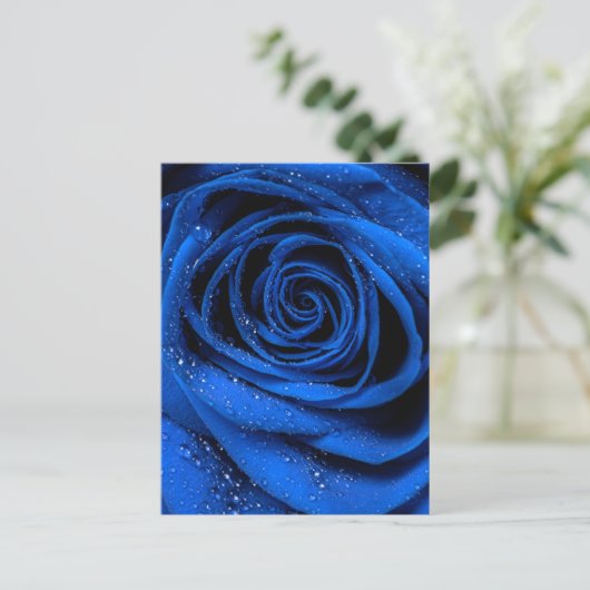 Rose Petals 3 Postkarte (Stehend Vorderseite)