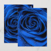 Rose Petals 3 Postkarte (Vorne/Hinten)