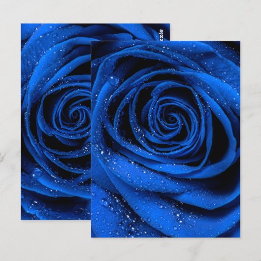 Rose Petals 3 Postkarte (Vorne/Hinten)