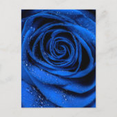 Rose Petals 3 Postkarte (Vorderseite)