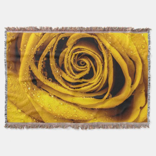 Rose Petals 4 Decke (Vorderseite)