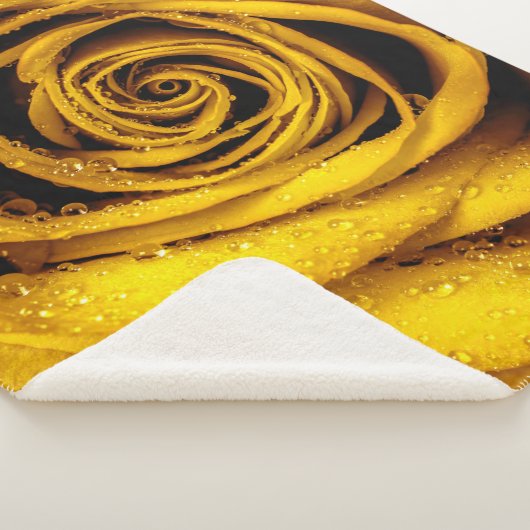 Rose Petals 4 Sherpadecke (3/4)