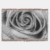 Rose Petals 5 Decke (Vorderseite)