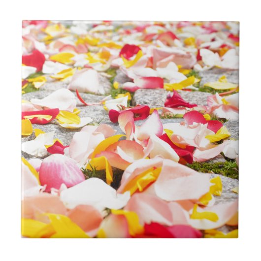 Rose Petals auf Fußböden Fliese (Vorderseite)