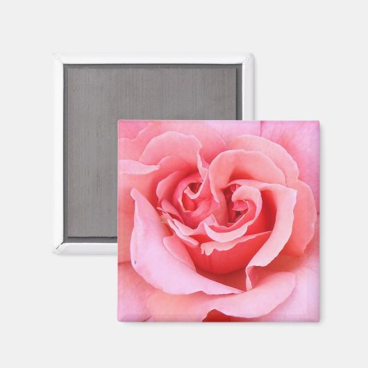 Rose Petals Magnet (Vorderseite/Rückseite)