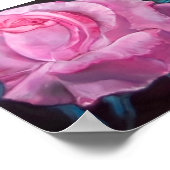 Rose Petals Poster (Ecke)