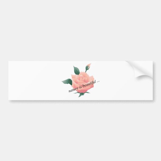 Rose (Pfirsich) - Schöne Natur Autoaufkleber (Vorne)