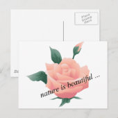 Rose (Pfirsich) - Schöne Natur Postkarte (Vorne/Hinten)