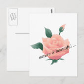 Rose (Pfirsich) - Schöne Natur Postkarte (Vorne/Hinten)