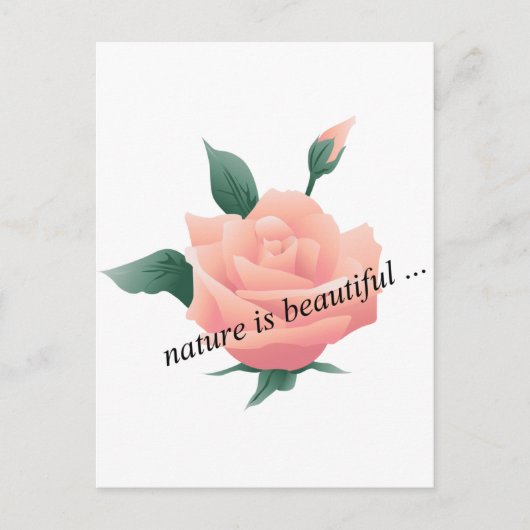 Rose (Pfirsich) - Schöne Natur Postkarte (Vorderseite)