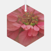 Rose Pinacoteca comunale Casa Rusca Ornament Aus Glas (Rückseite)