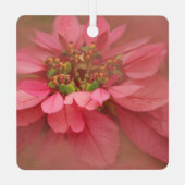 Rose Pinacoteca comunale Casa Rusca Ornament Aus Metall (Rückseite)